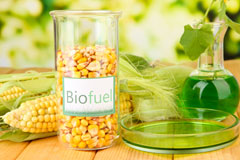 Dungannon biofuel availability