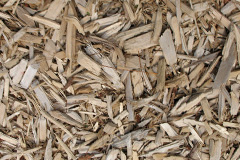 biomass boilers Dungannon
